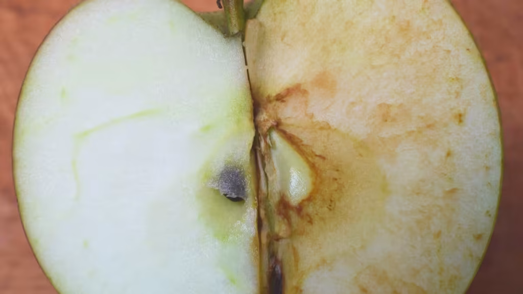 Cómo hacer para que no se oxide la manzana: guía paso a paso fácil y rápida